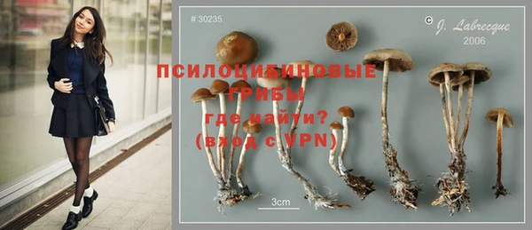 мяу мяу кристалл Аркадак