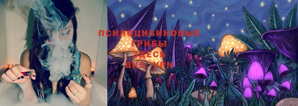 PSILOCYBIN Армянск
