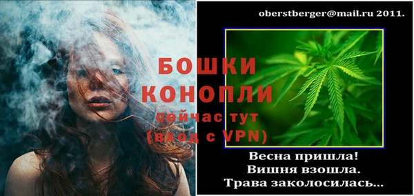 PSILOCYBIN Армянск