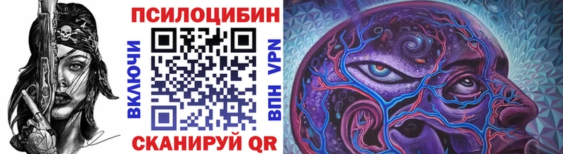 Галлюциногенные грибы Psilocybine cubensis  Темрюк 