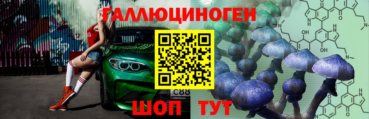 Темрюк  Галлюциногенные грибы мухоморы  Вход с VPN 